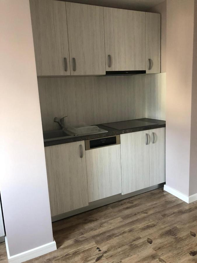 Sighisoara Apartment Kültér fotó